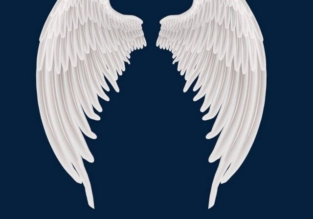 A white angel wings with black background